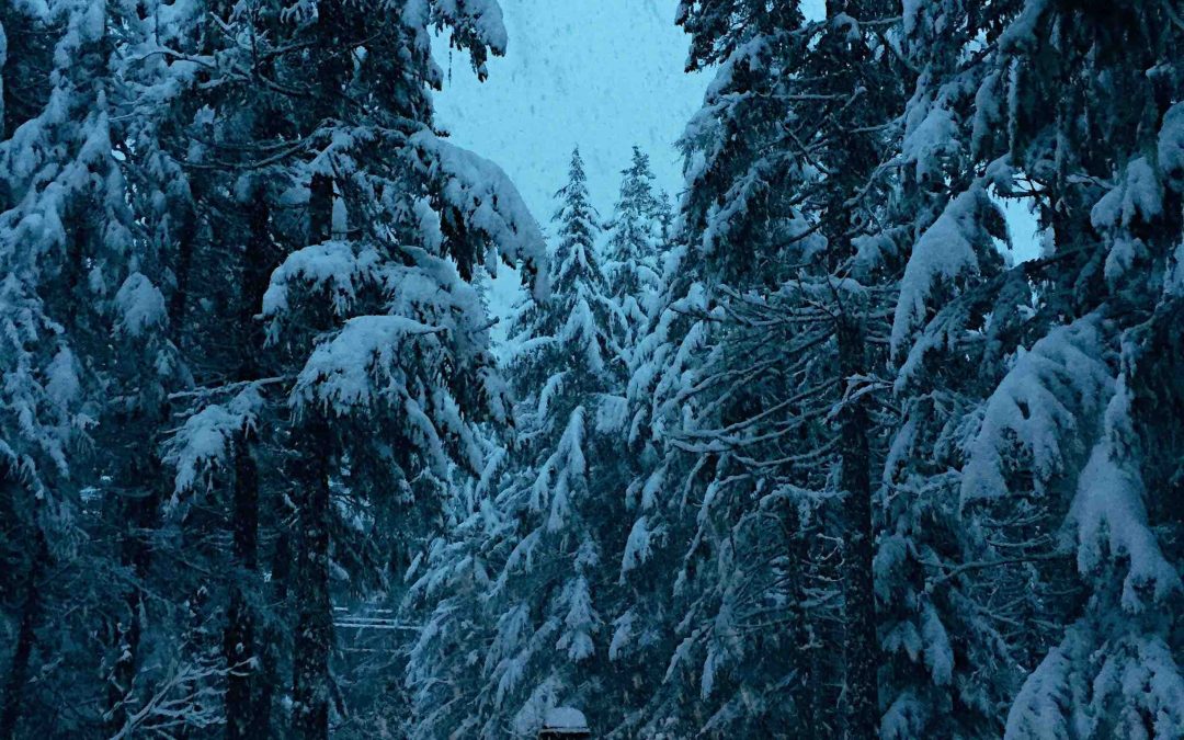 Snowpocalypse Crash Chaos: Who’s Paying for the Mayhem?